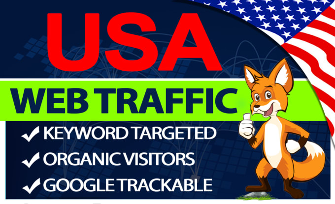 Gig Preview - Bring keyword targeted organic USA web traffic