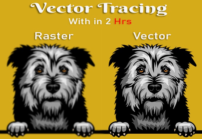 Bestseller - do manual vector tracing, remake, update, recreate logo