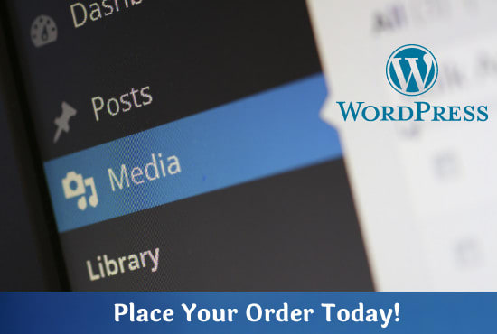 Gig Preview - Setup modern wordpress website or blog