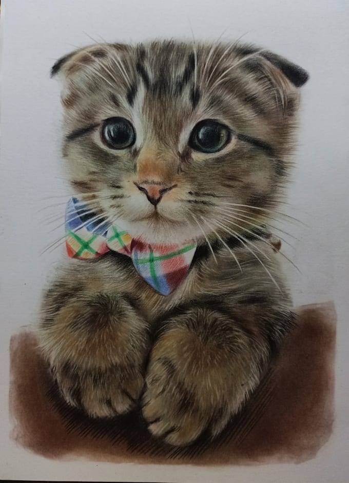 Gig Preview - Draw realistic color pencil pet portrait from photo