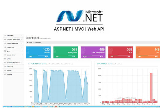 Gig Preview - Develop a custom website mvc and asp dot net application for you