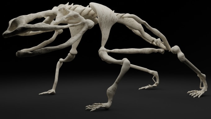 Gig Preview - Create a 3d model skeleton of animal