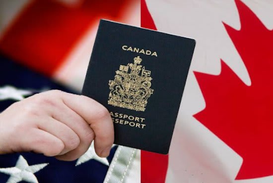 Gig Preview - Assist you with visa and immigration formalities to canada