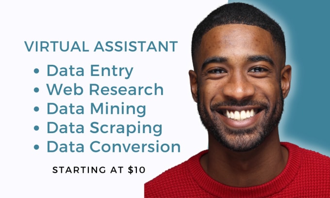 Gig Preview - Be your virtual assistant for data entry and web research