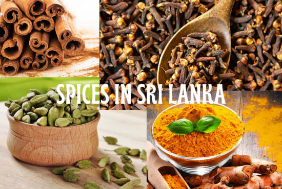 Gig Preview - Buy any sort of spices and ship to anywhere straight from sri lanka