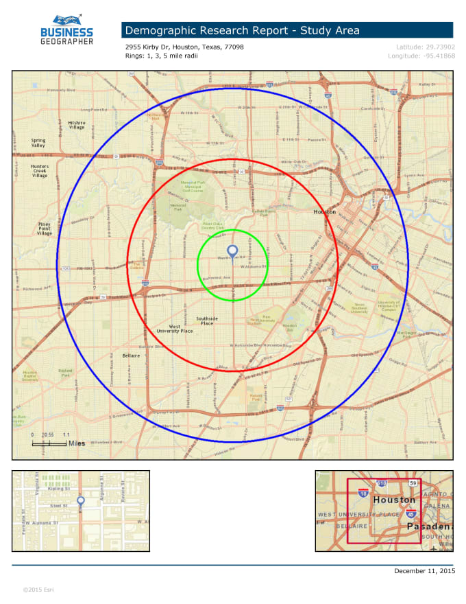 Gig Preview - Provide a detailed demographic radius report