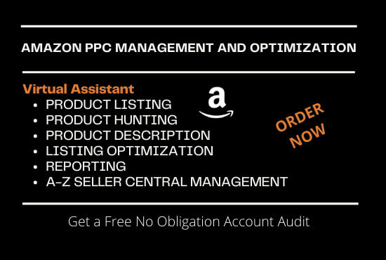 Gig Preview - Setup amazon ppc campaign, amazon advertising ads