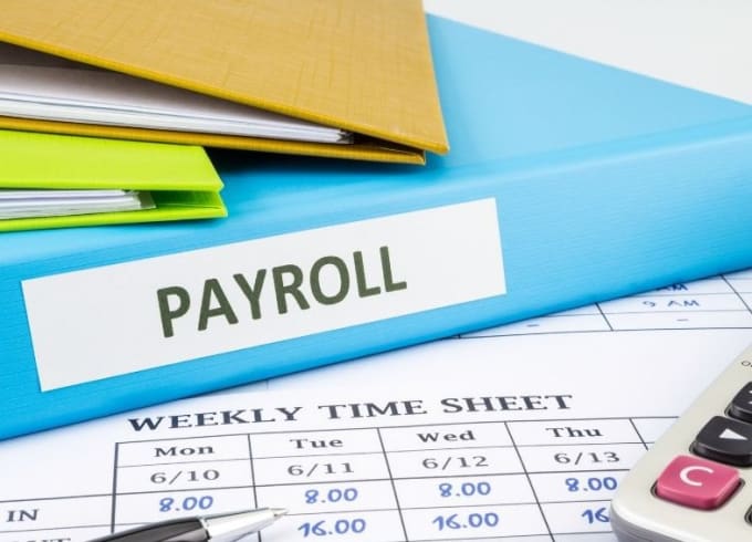 Gig Preview - Do payroll recruitment HR management