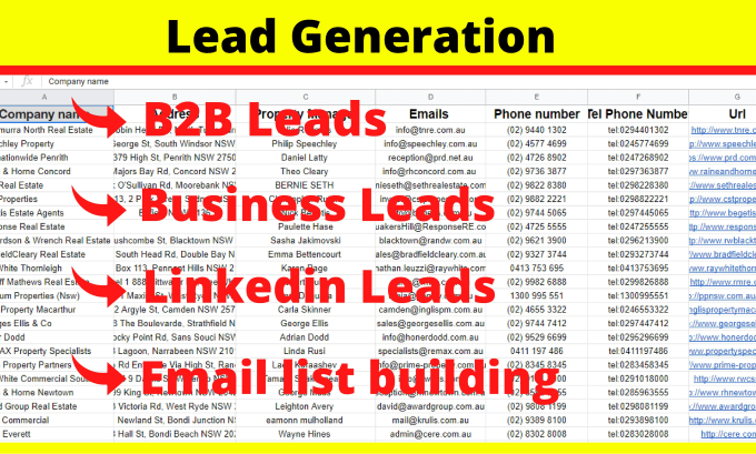 Gig Preview - Provide a b2b lead generation for any industry