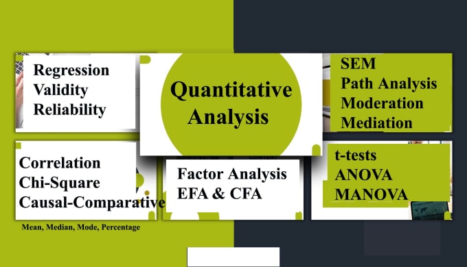 Gig Preview - Do quantitative data analysis for research work