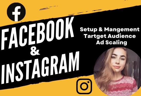 Gig Preview - Create,manage and scale your facebook, instagram ads campaign