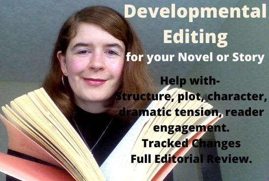 Gig Preview - Developmental edit your book or story