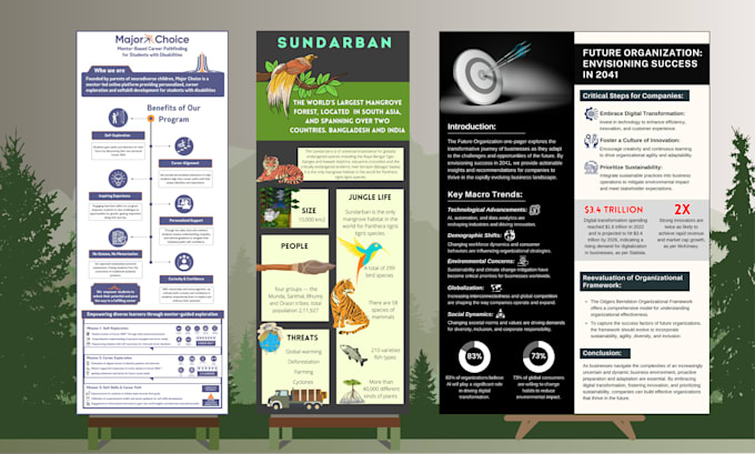 Bestseller - design a professional infographic for ngos and organizations