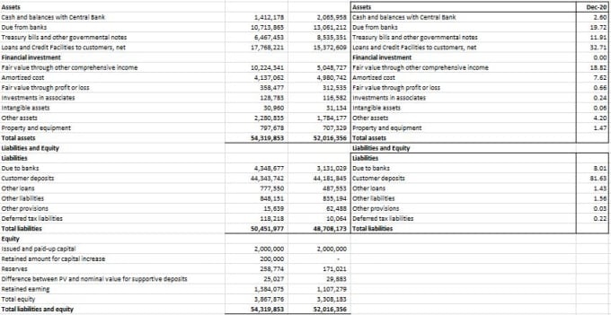 Gig Preview - Provide financial analysis, project report, ratio analysis