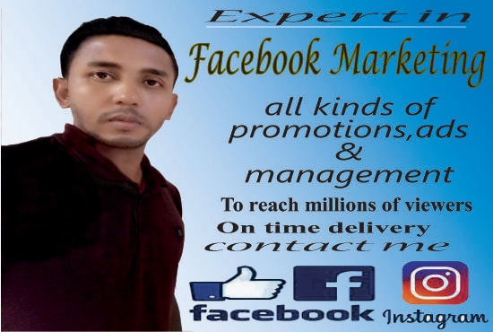 Gig Preview - Promote any business in USA by fb marketing