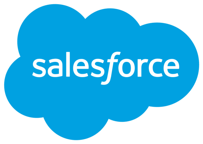 Gig Preview - Be your salesforce trainer