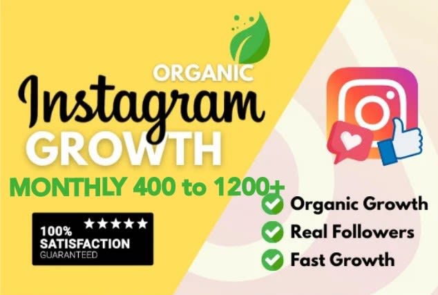 Gig Preview - Grow instagram page organically for only 2 USD per day