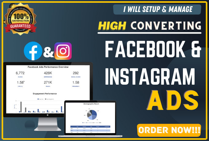 Gig Preview - Setup and manage profitable facebook and instagram ads campaign