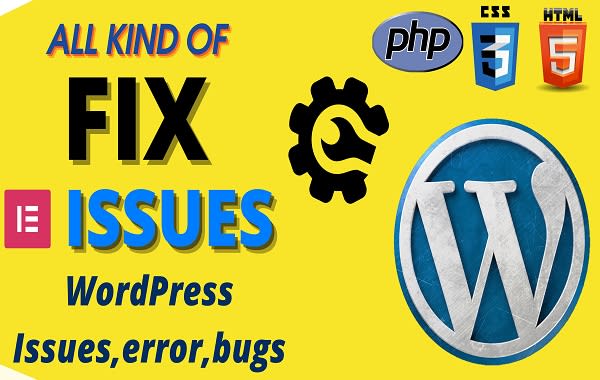 Gig Preview - Fix wordpress issues, wordpress errors, wordpress bugs, css, provide wp help