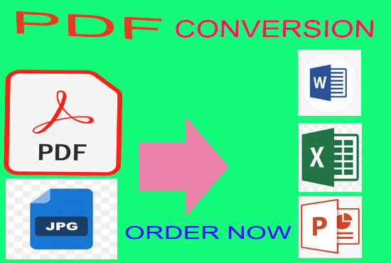 Gig Preview - Convert pdf to word or excel