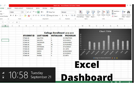 Bestseller - design excel dashboard ,pivot, graph ,data entry in 24 hours