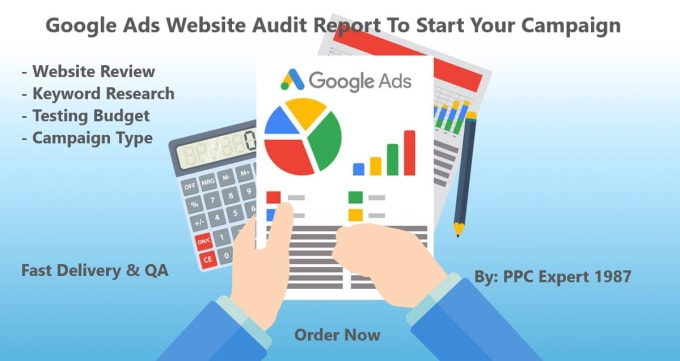 Gig Preview - Audit your website for google ads campaign