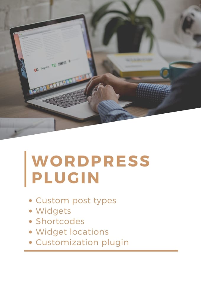 Gig Preview - Develop custom wordpress plugin custom plugin