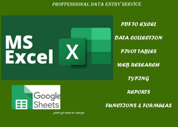 Gig Preview - Do microsoft excel data entry