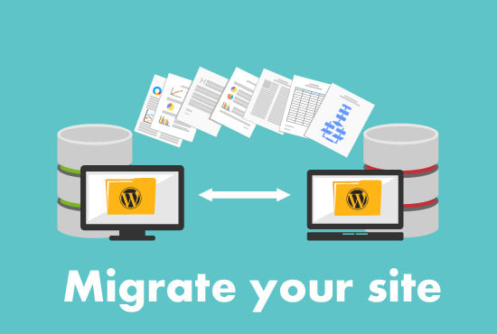 Gig Preview - Do wordpress website migration