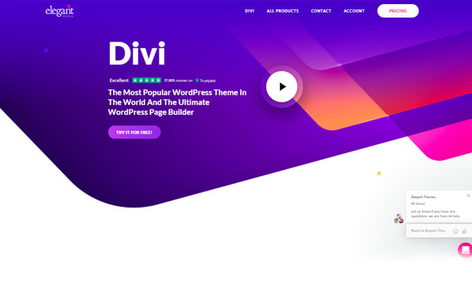 Gig Preview - Create an elegant wordpess website with divi theme