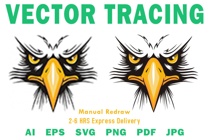 Gig Preview - Redraw or recreate your logo or image and do vector tracing