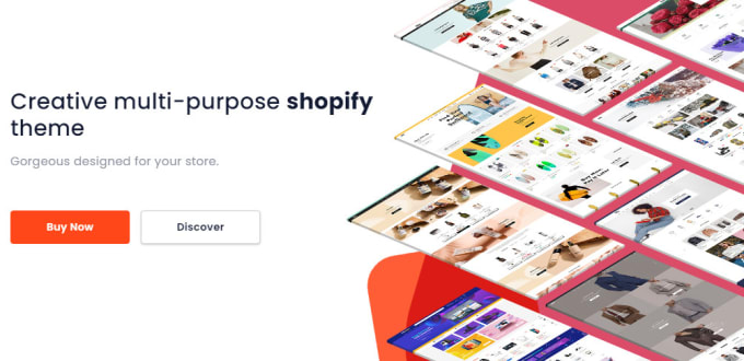 Gig Preview - Upload shopify store with premium themes