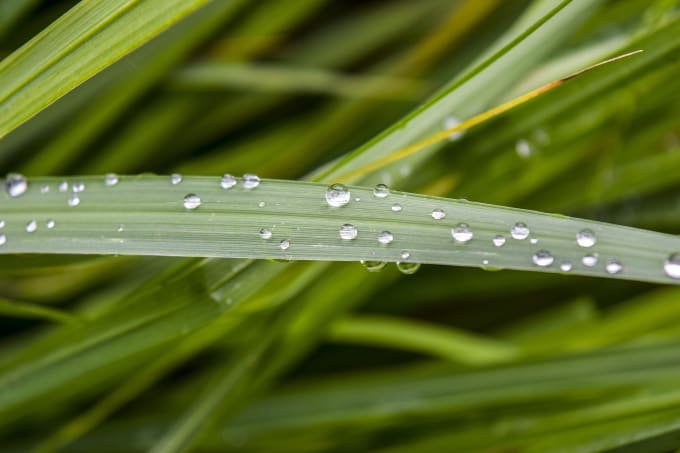 Gig Preview - Create relaxing rain loop video with thunder and natural audio