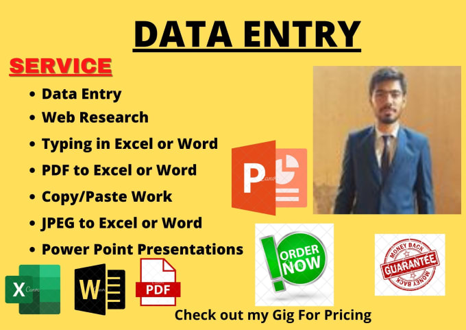 Gig Preview - Do data entry, copy paste, web scraping and excel data entry