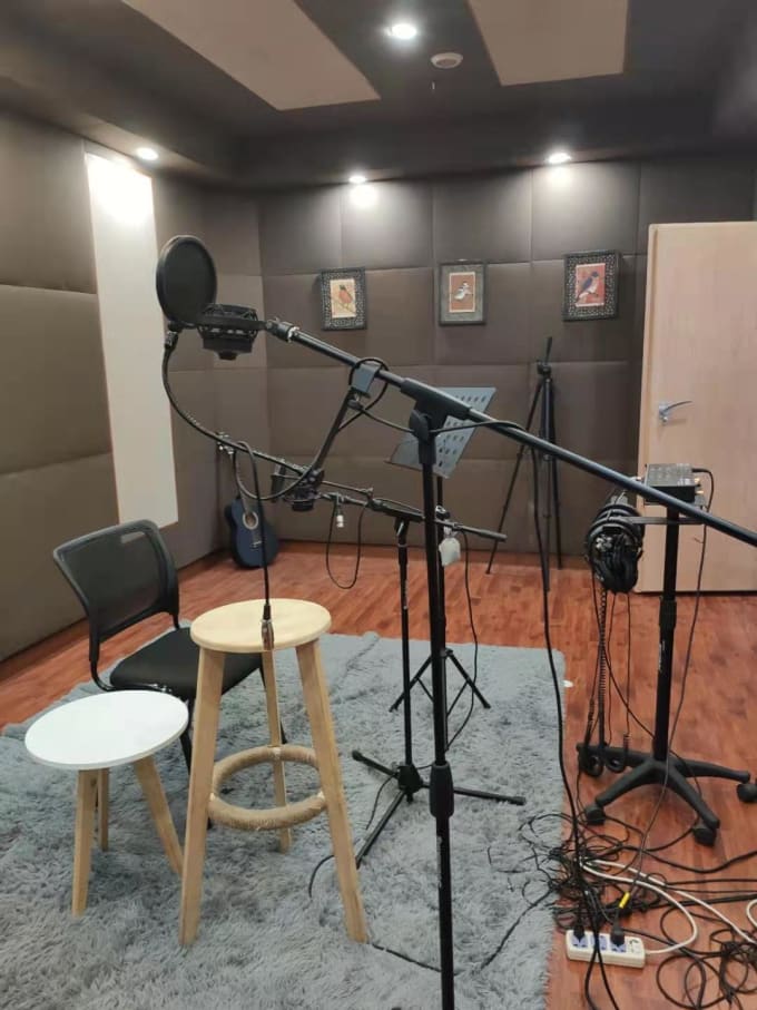 Gig Preview - Record a professional chinese mandarin female voice over 19