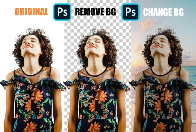 Gig Preview - Remove background remove objects and add objects