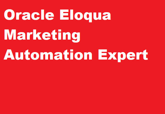 Gig Preview - Be your oracle eloqua marketing automation pro expert