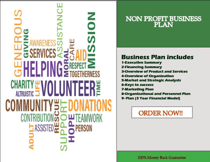 Gig Preview - Create business plans for nonprofit organizations