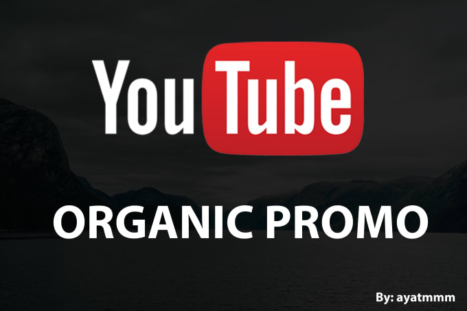 Gig Preview - Promote youtube channel and video with google ads