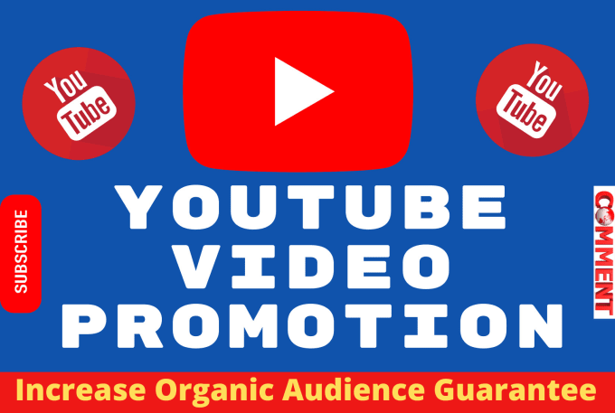 Gig Preview - Do organic youtube video promotion campaign