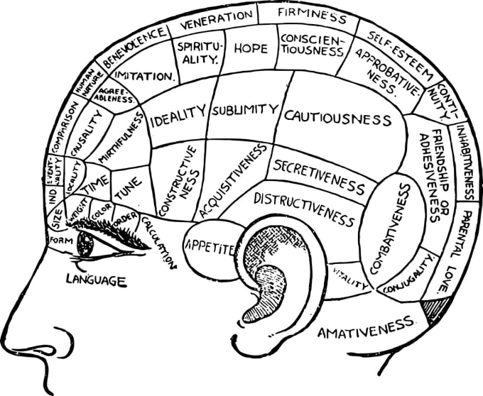 Gig Preview - Measure your consciousness using hawkins map