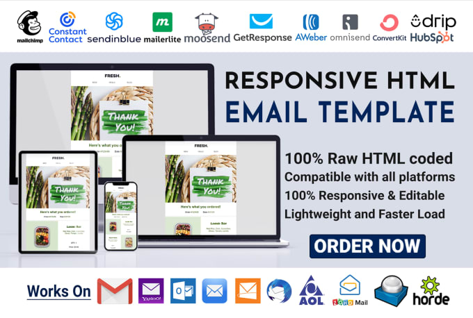 Gig Preview - Create responsive HTML email template for email marketing