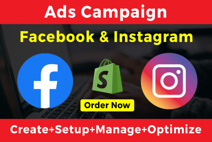 Gig Preview - Setup and manage your facebook and instagram ads campaign