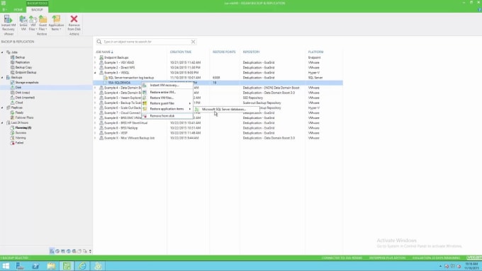 Gig Preview - Configure manage veeam altaro for hyper v vmware