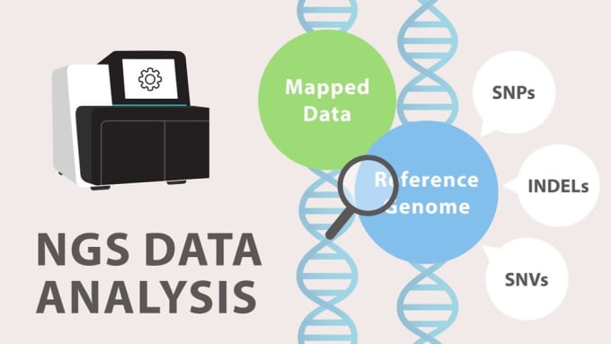 Bestseller - help in next generation sequencing analysis