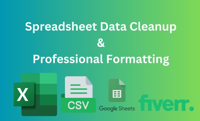 Gig Preview - Do excel data cleanup and professional formatting