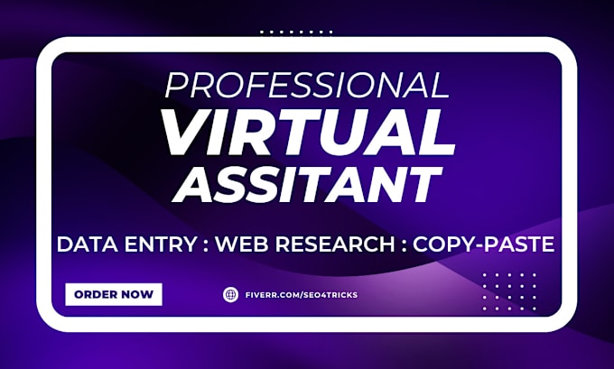 Gig Preview - Be your virtual assistant for data entry and web research