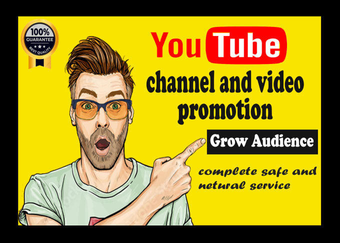 Gig Preview - Organic youtube video promotion with active audience