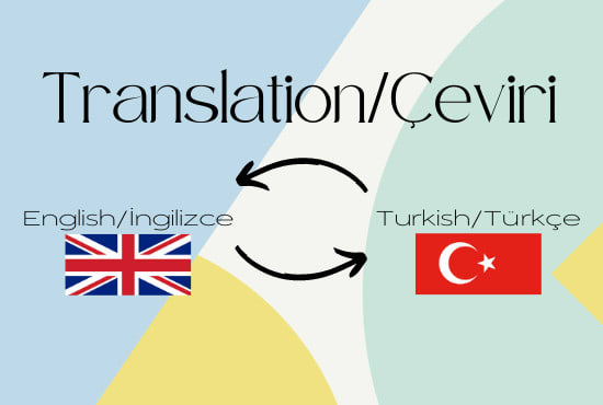 Gig Preview - Translate from english to turkish or vice versa