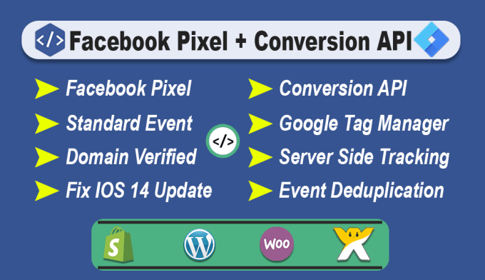 Gig Preview - Setup facebook conversion API with GTM